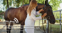Thumbnail image for What Horses Can Teach Us About Ourselves and How They Help Hone Our Professionalism Skills